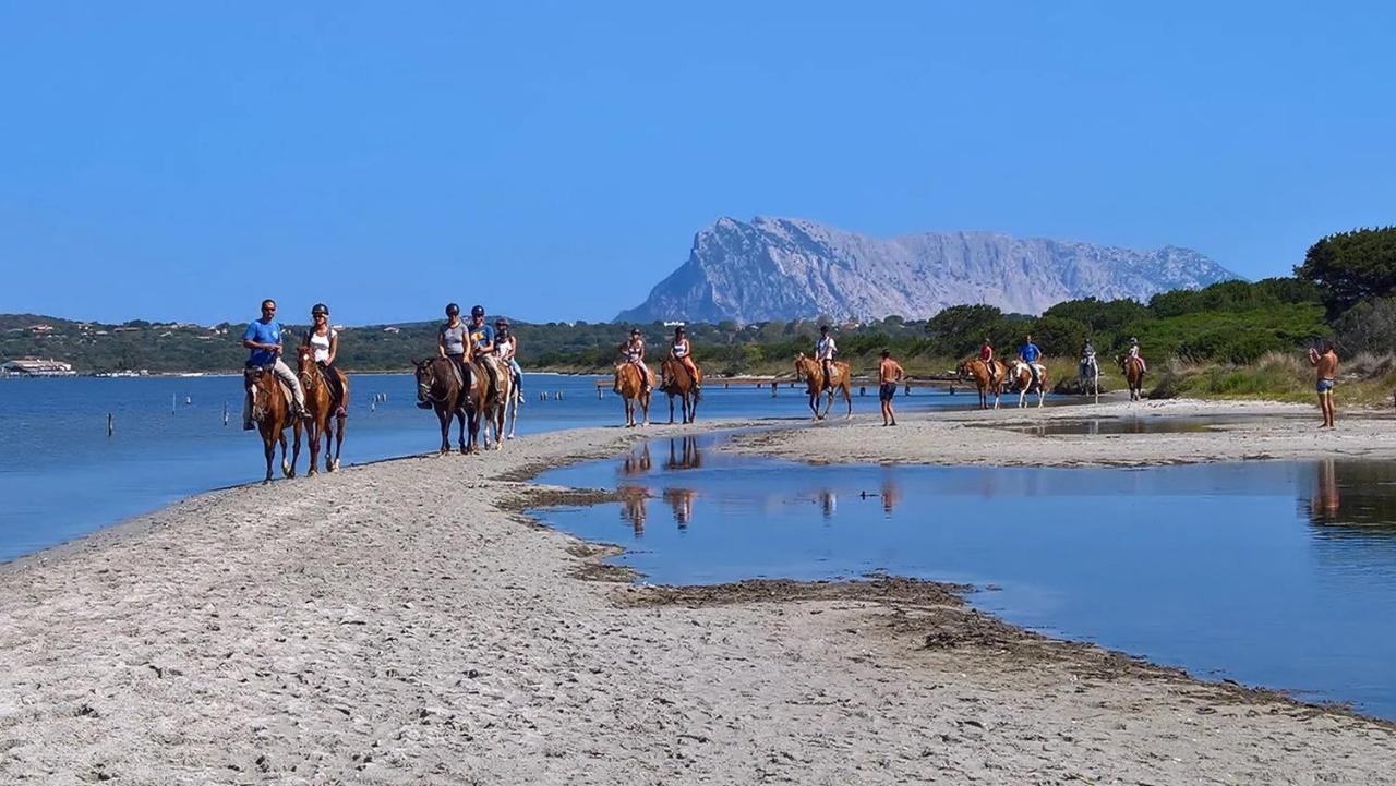Appartamento Sette Posti Vicino Al Centro Di San Teodoro San Teodoro  Exterior photo